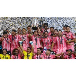 A alegria de vencer o campeonato não conseguiu mascarar a tristeza da retirada A alegria de vencer o campeonato não conseguiu mascarar a tristeza da retirada